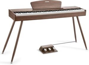 Donner DDP-80