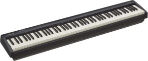 Roland FP-10